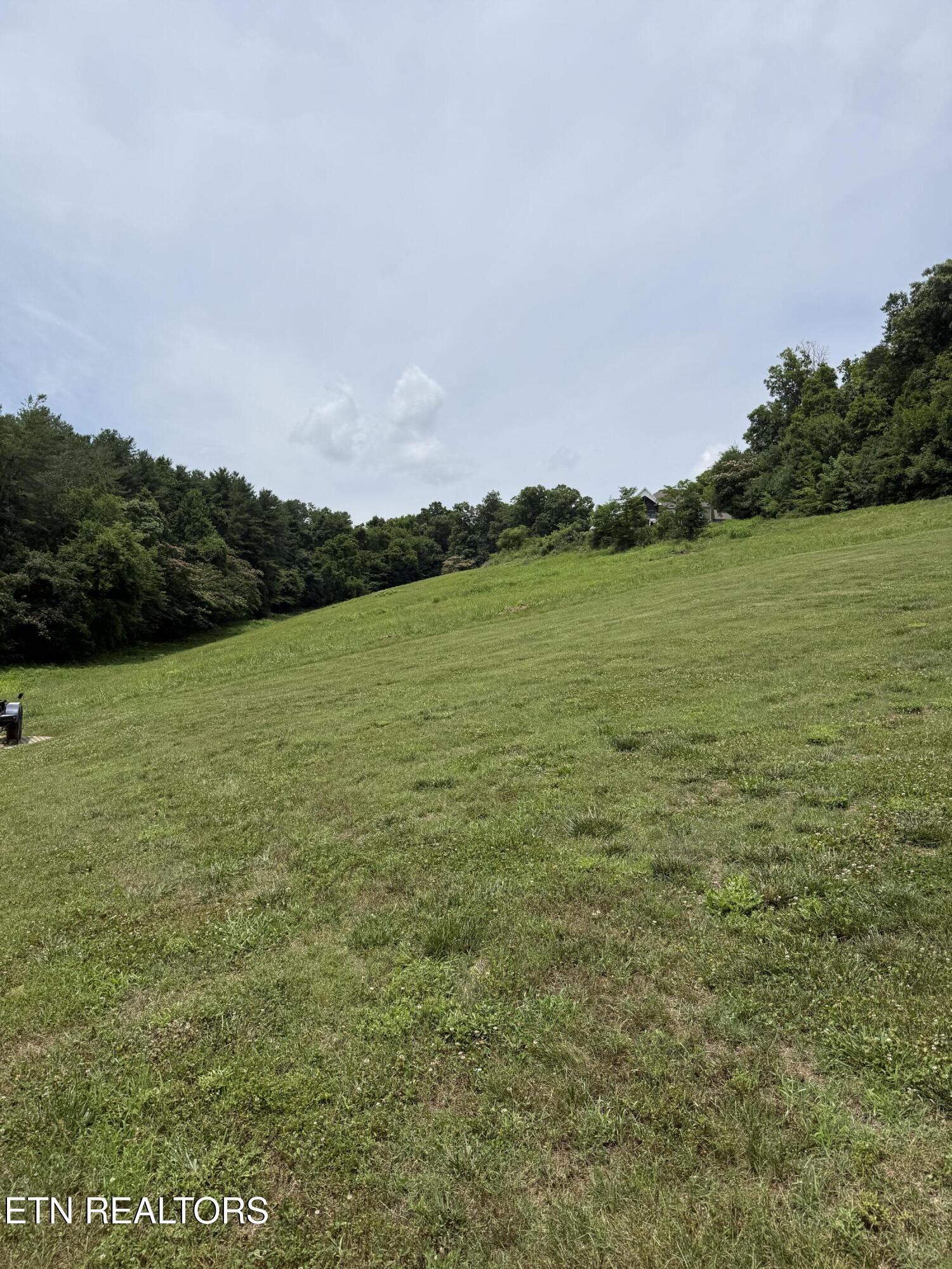 Image 3: IMG_8691