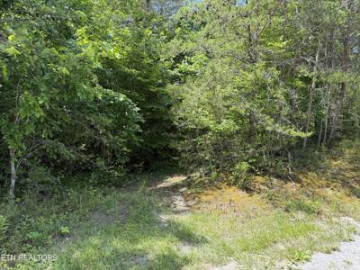 0 Mountain Shores Rd