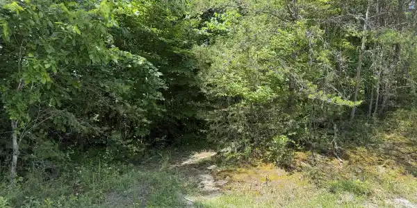 0 Mountain Shores Rd