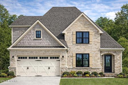 1633 Persimmon