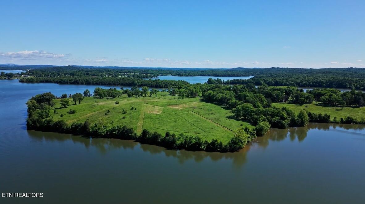 Image 2: Lot 4 Aerial q