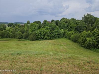 Lot 197 Captains Cove
