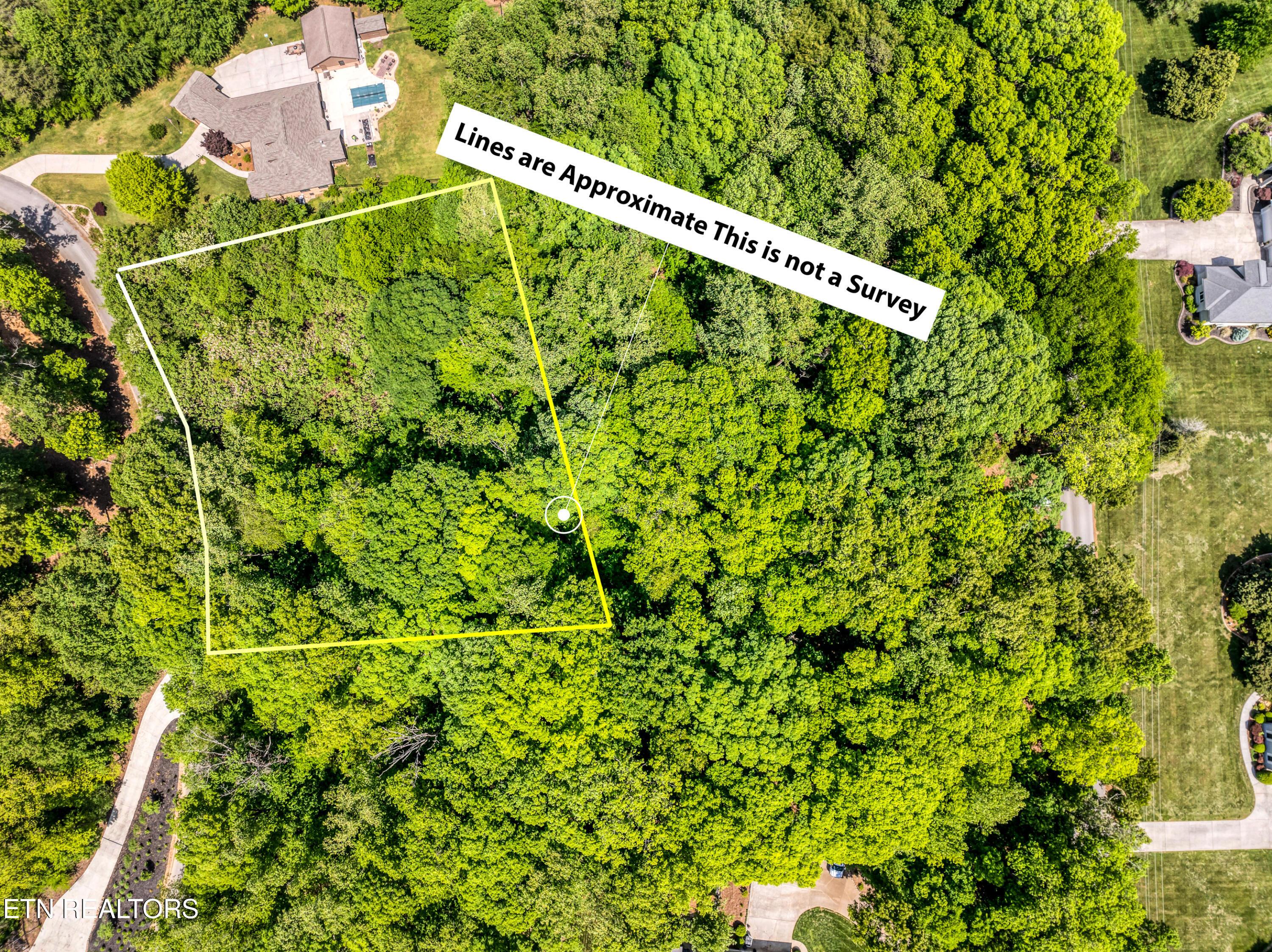 Image 2: Aerial view -Both lots