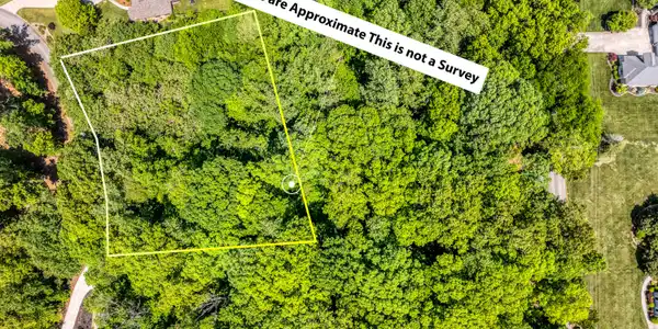 Image 2: Aerial view -Both lots