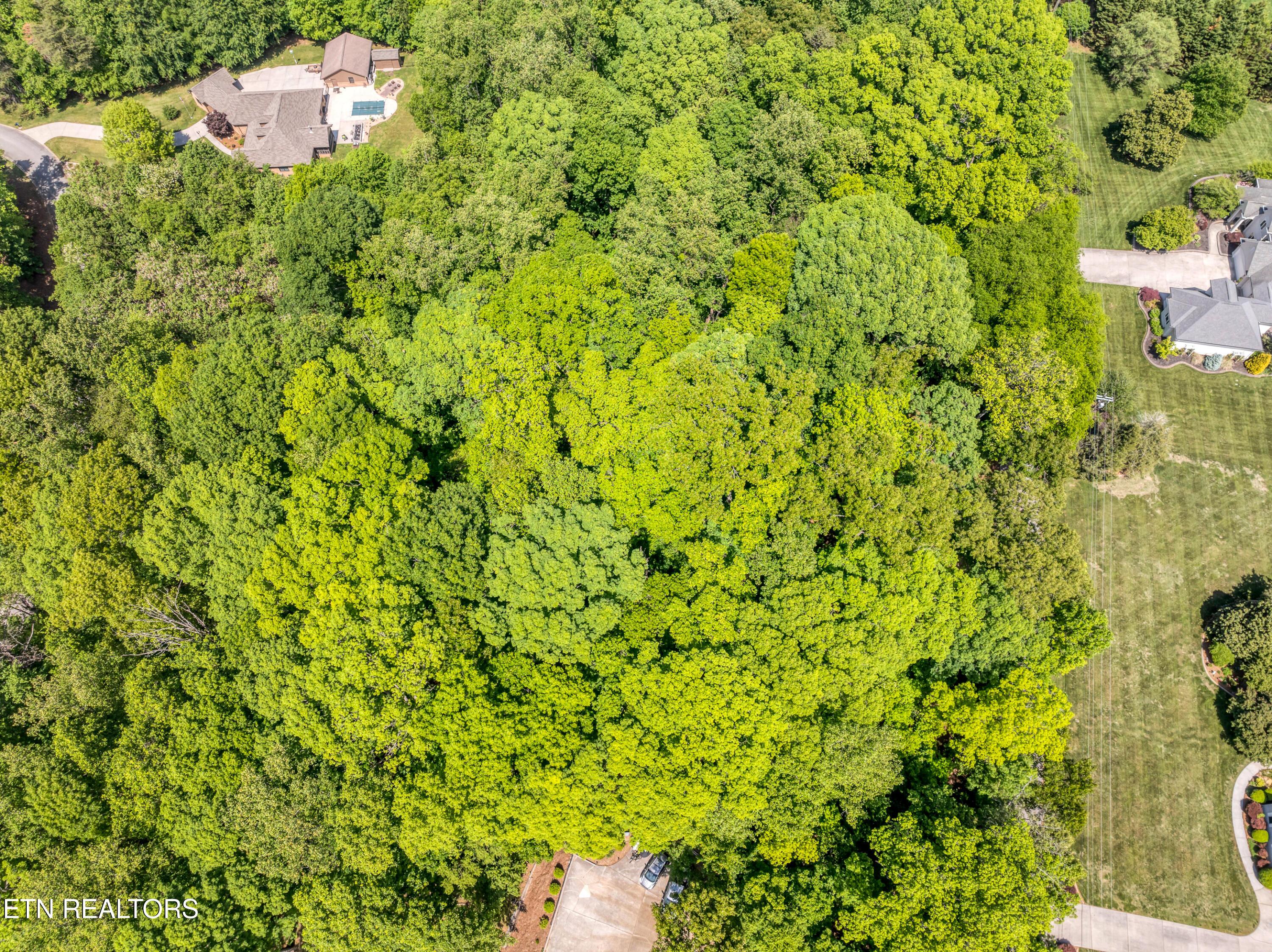 Image 3: Aerial view