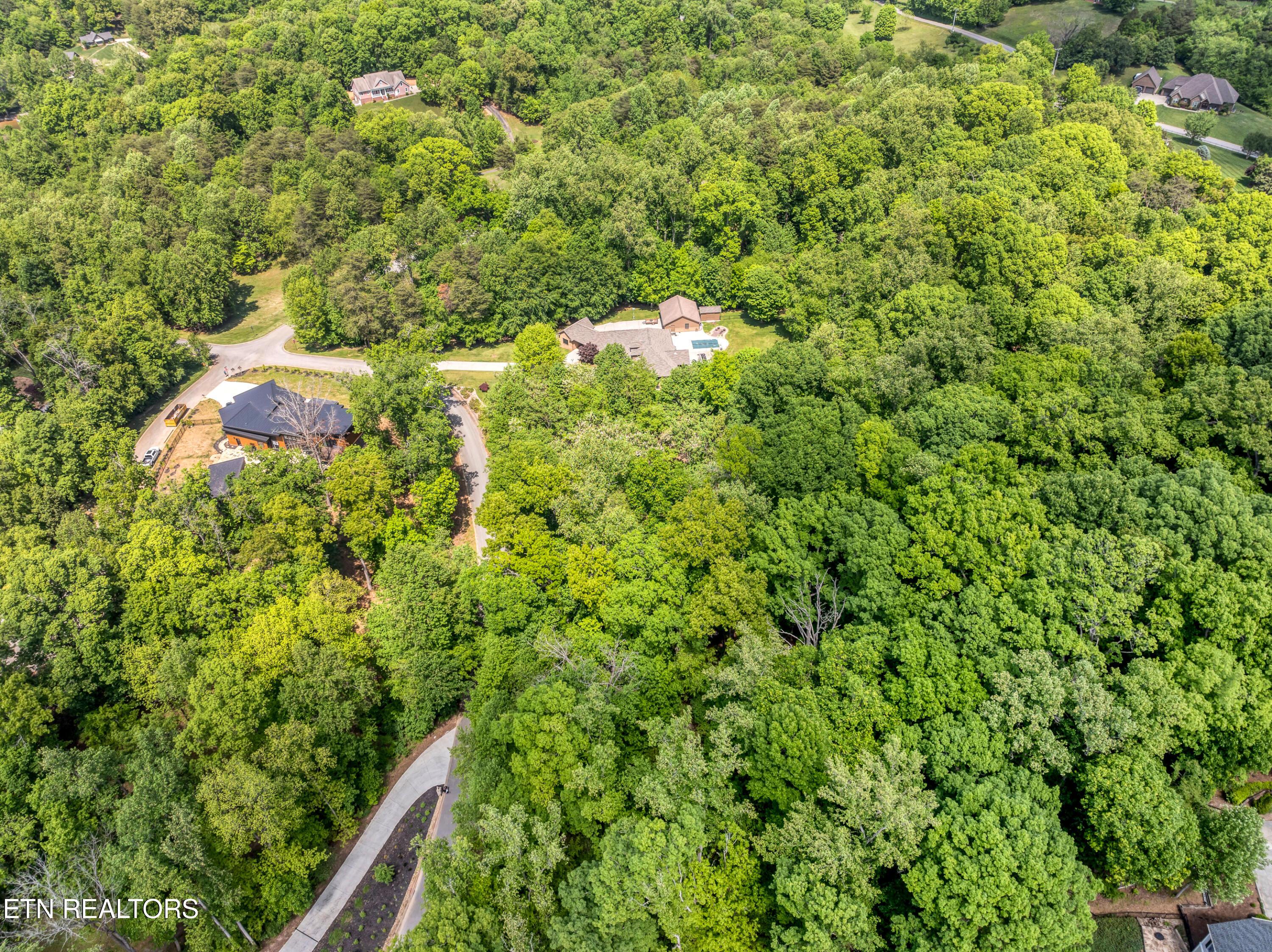 Image 4: Aerial view