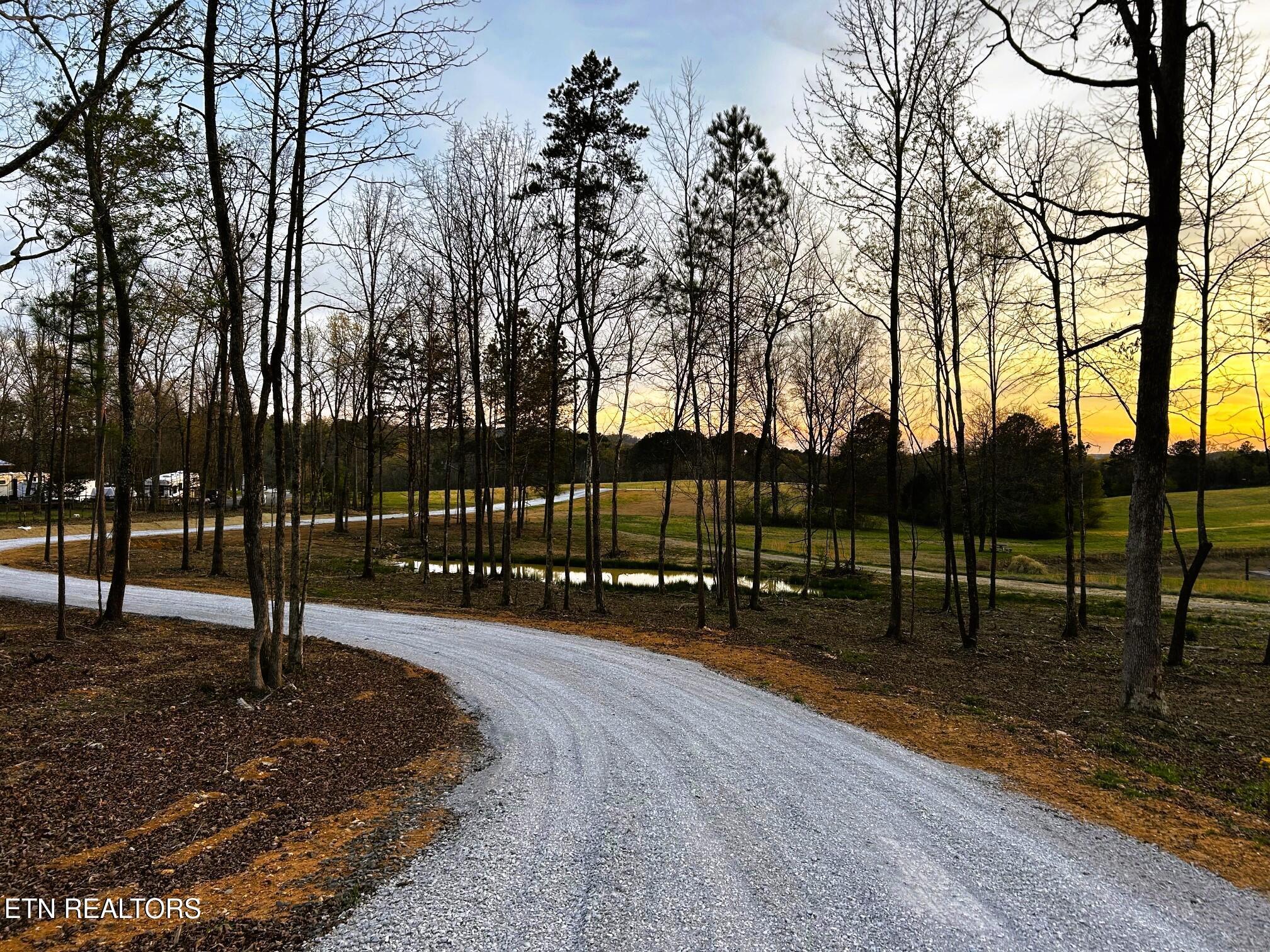 Image 2: Lamontville Driveway main