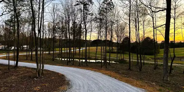 Image 2: Lamontville Driveway main