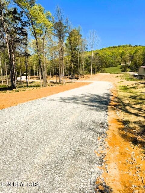 Image 4: Lamontville driveway 2