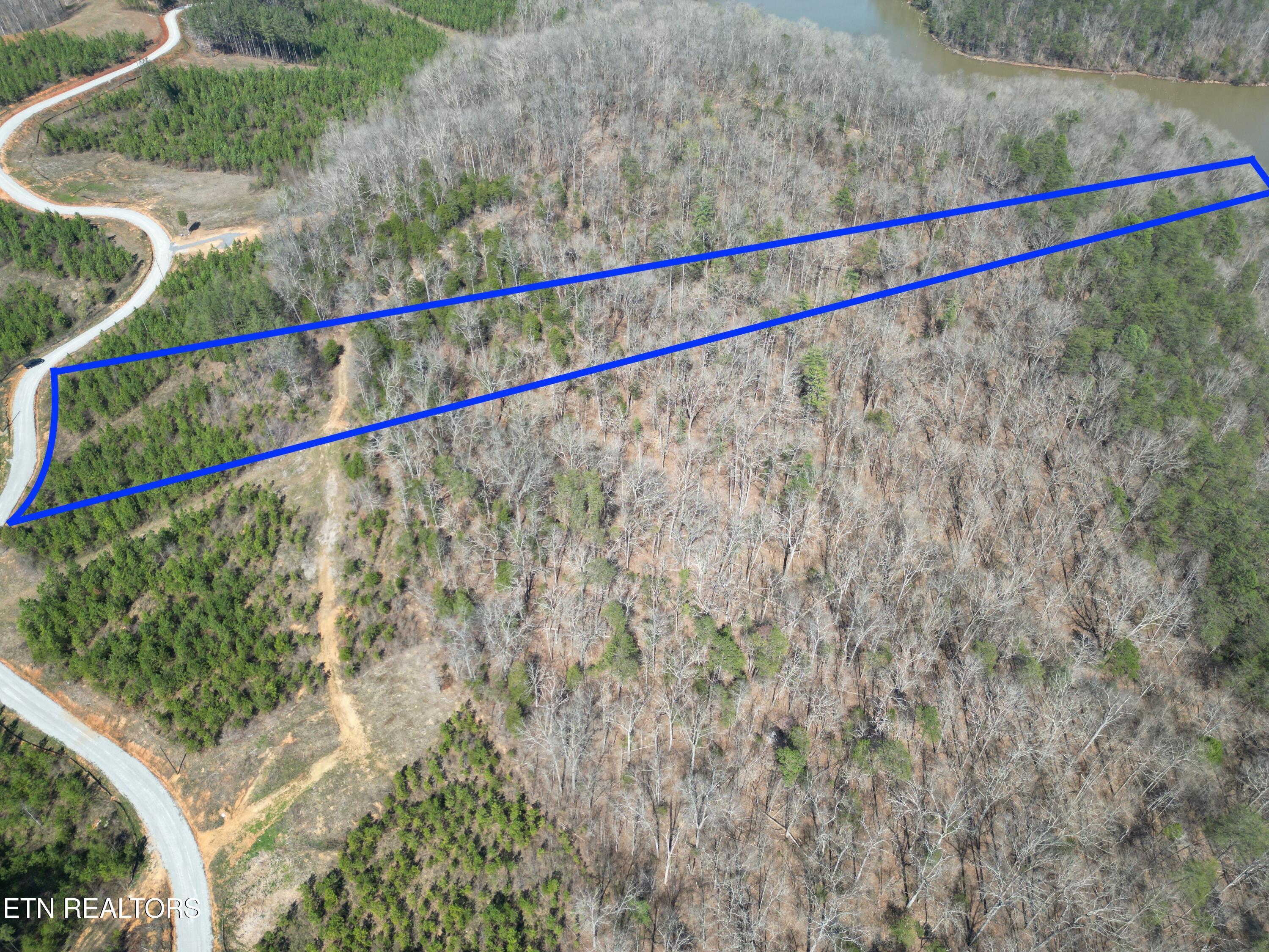 Image 3: Lot 8 -3