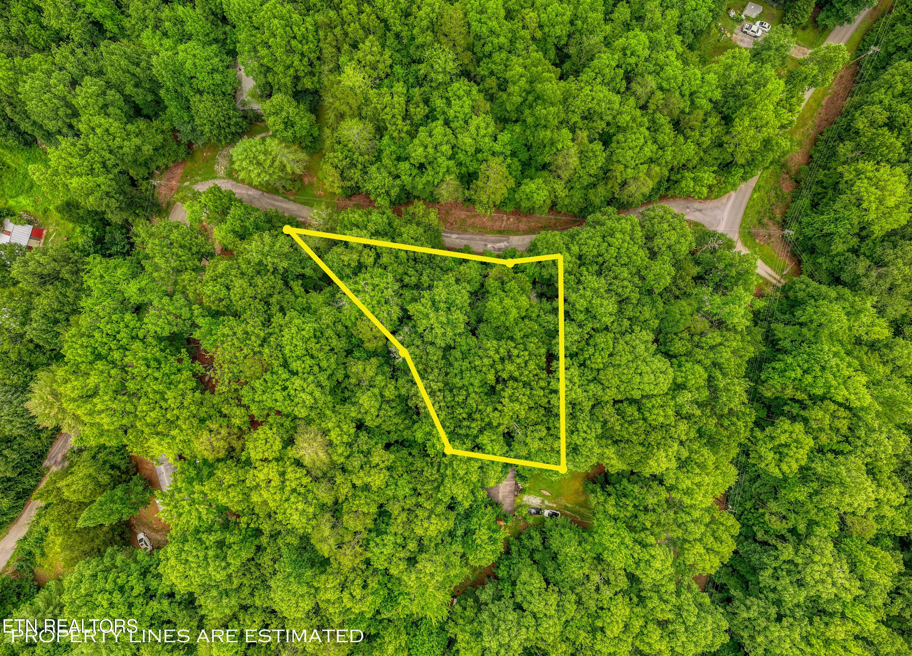 Image 2: DJI_20260715095147_0247_D_59