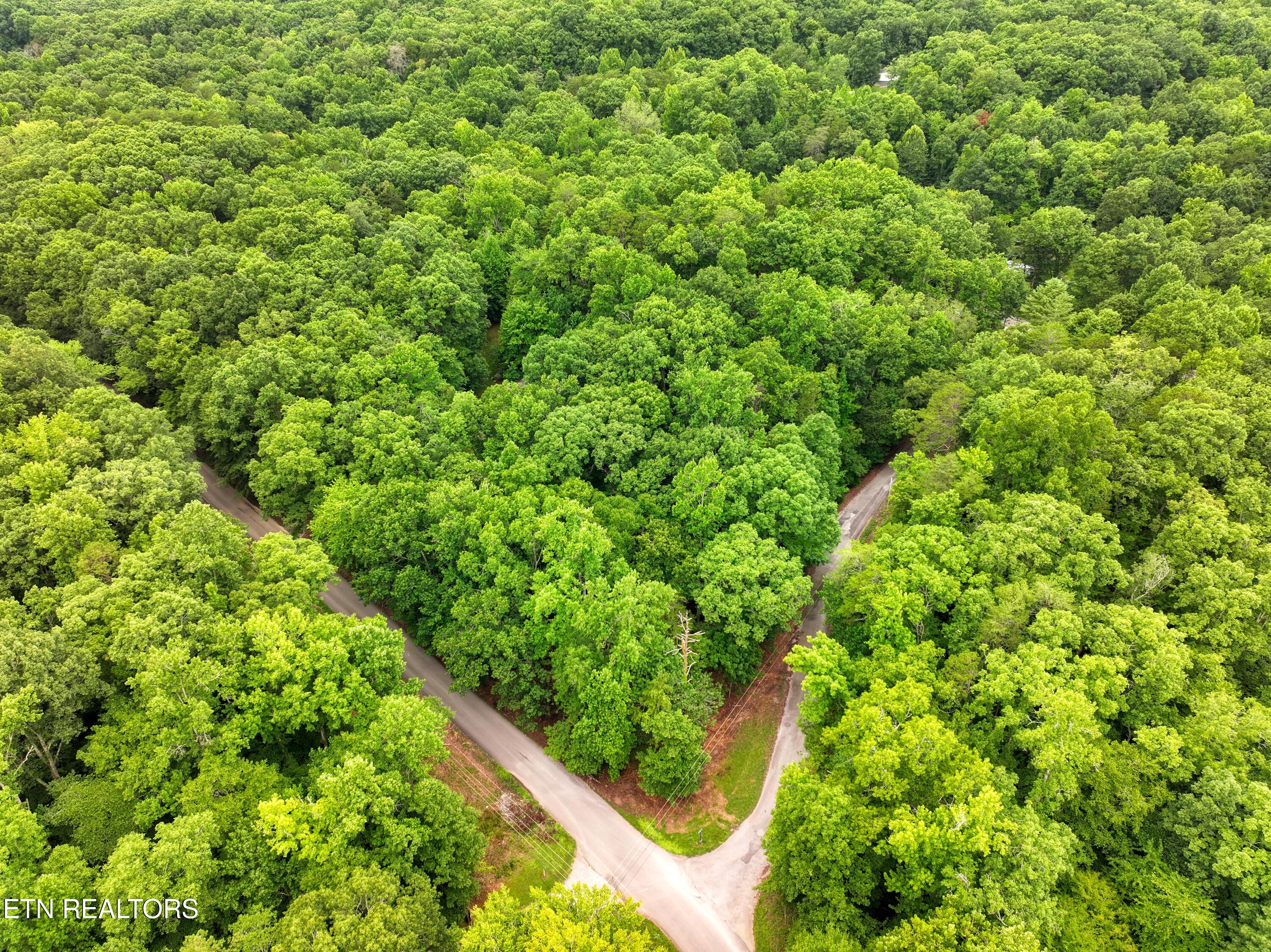 Image 3: DJI_20260715094832_0201_D_49