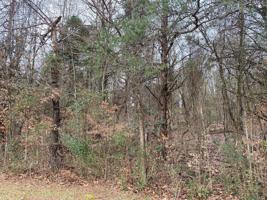 Lot 38 Melton Hill Circle