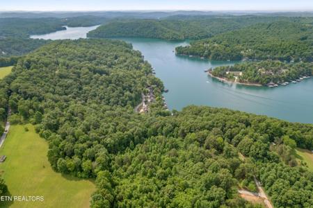 00 Chestnut Stump Rd