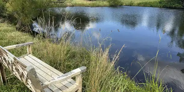 Image 3: Pond