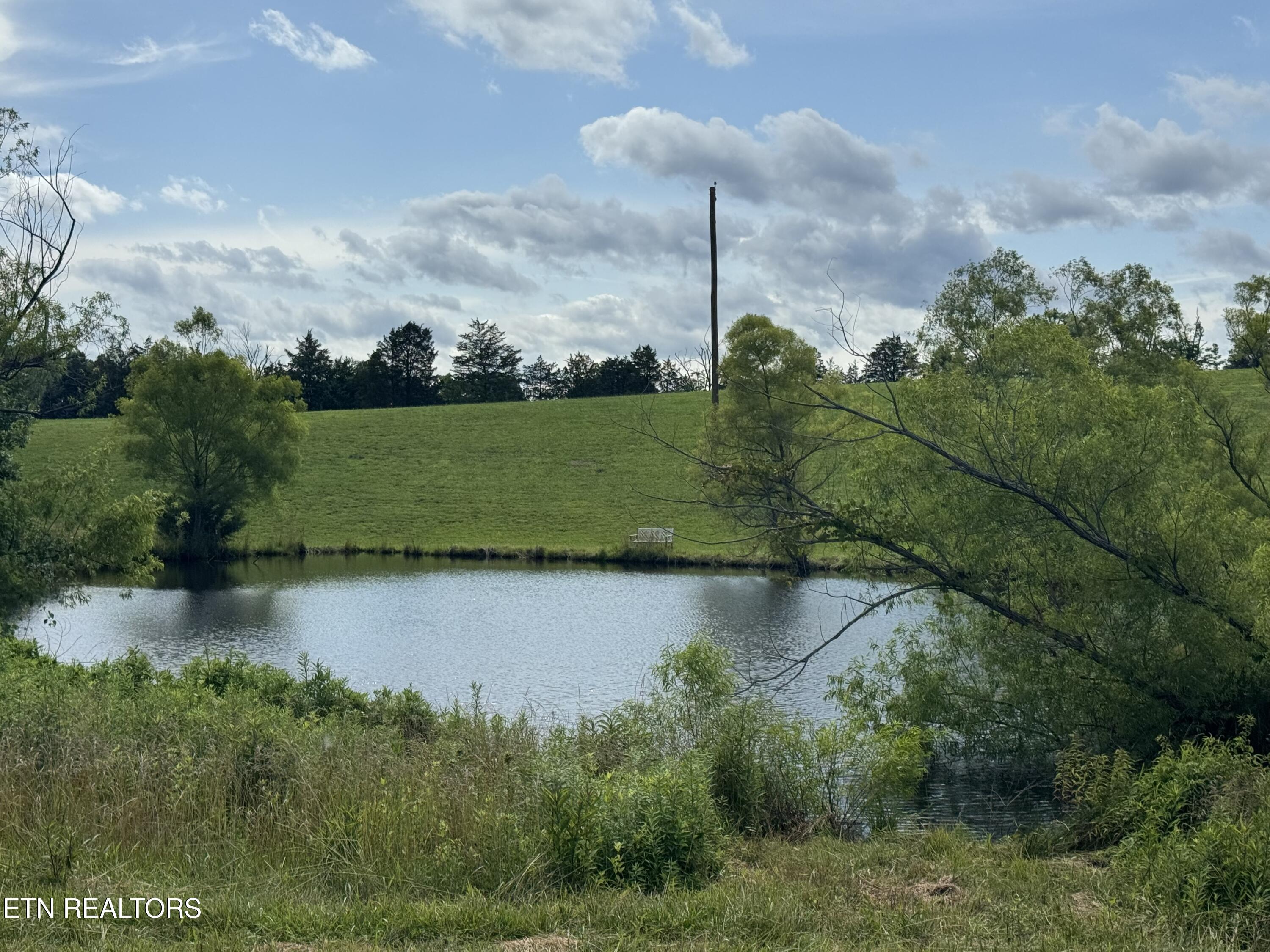 Image 4: Pond with home site behind it