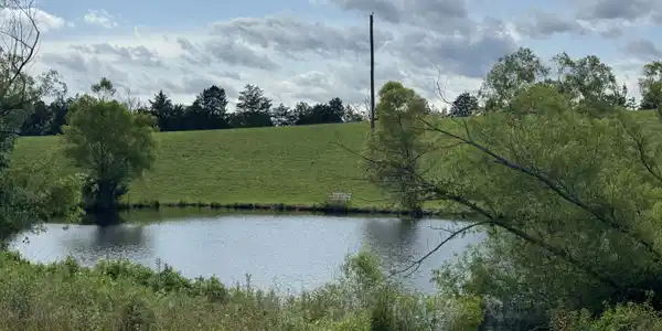Image 4: Pond with home site behind it