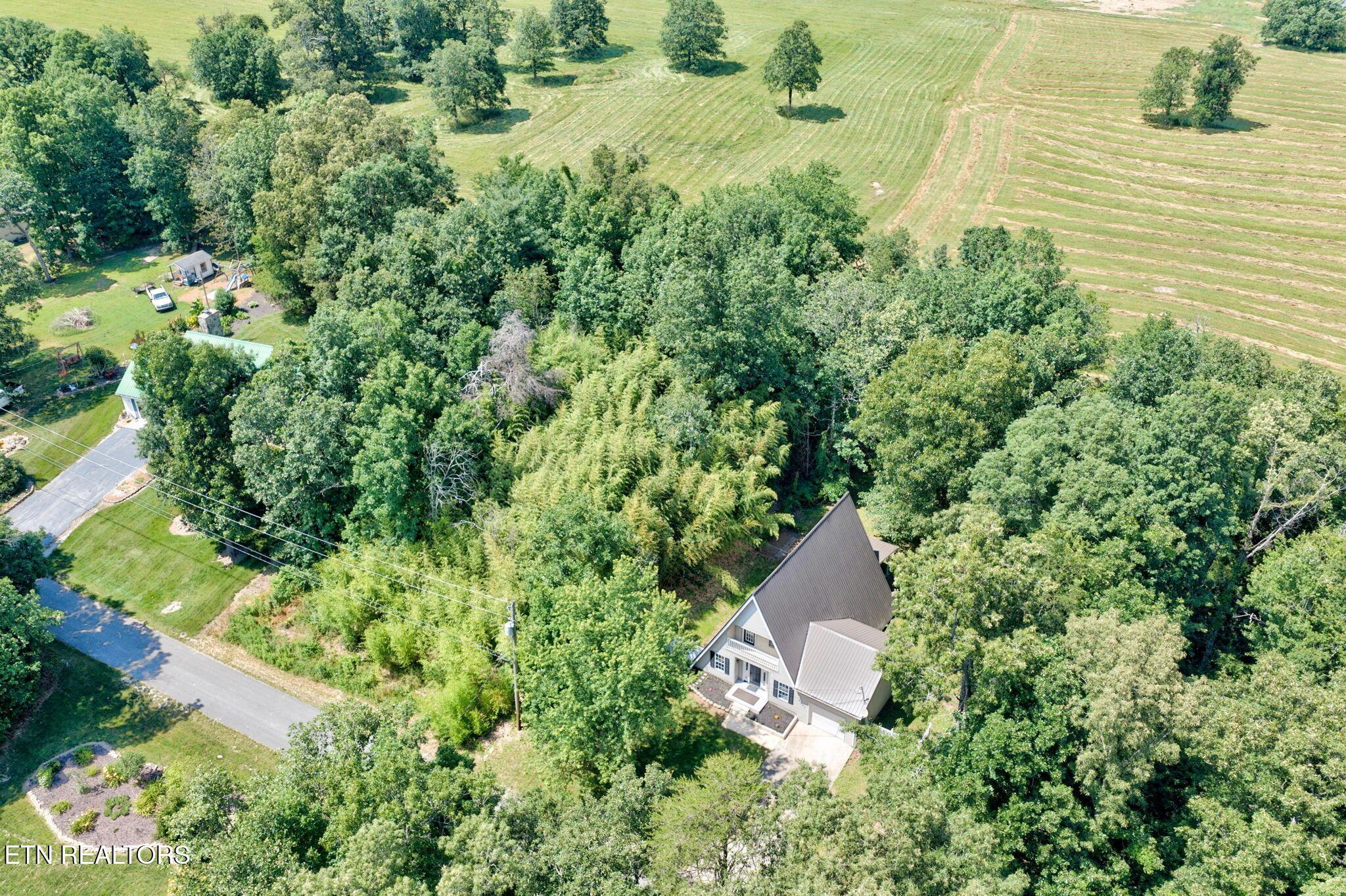 Image 3: Aerial View