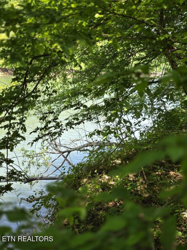 Image 3: image000007