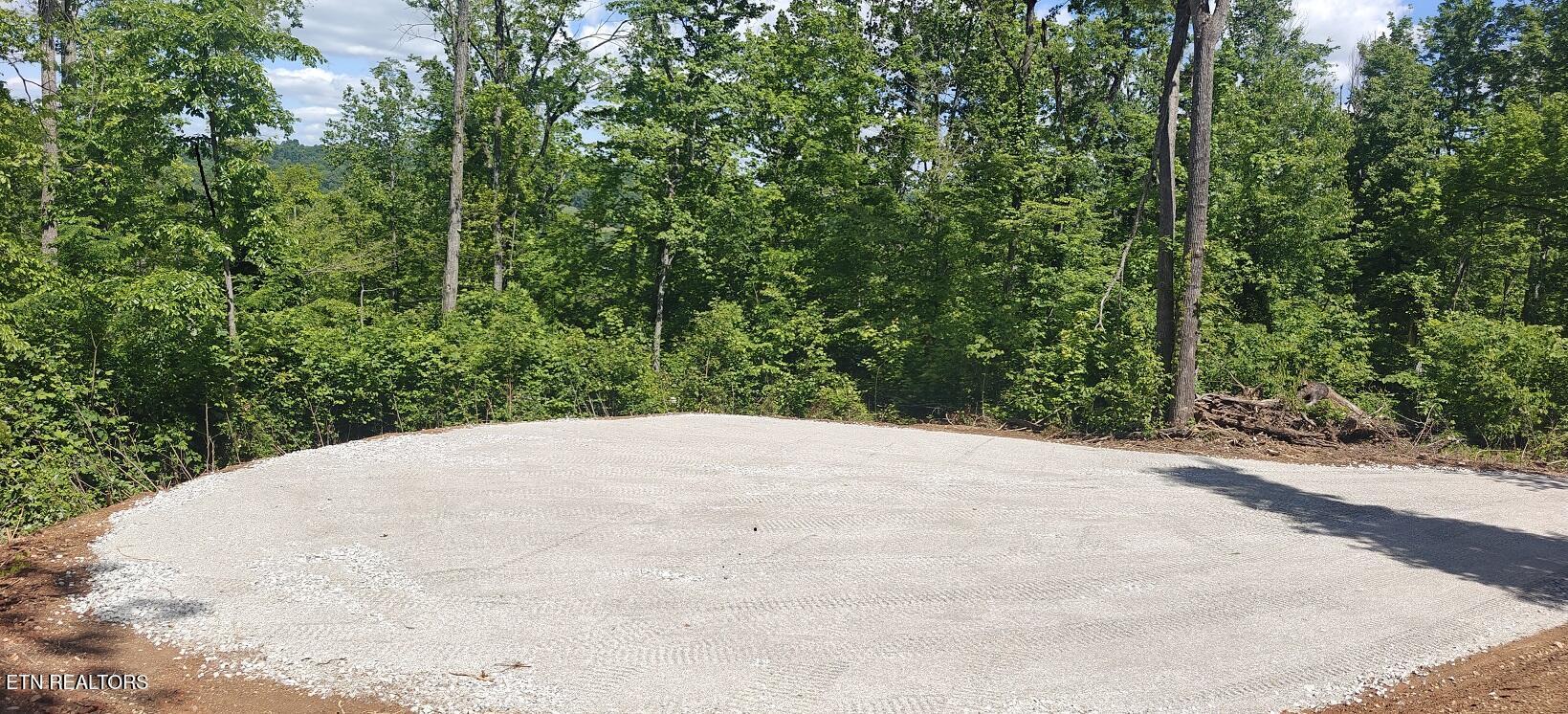 Image 3: LL1