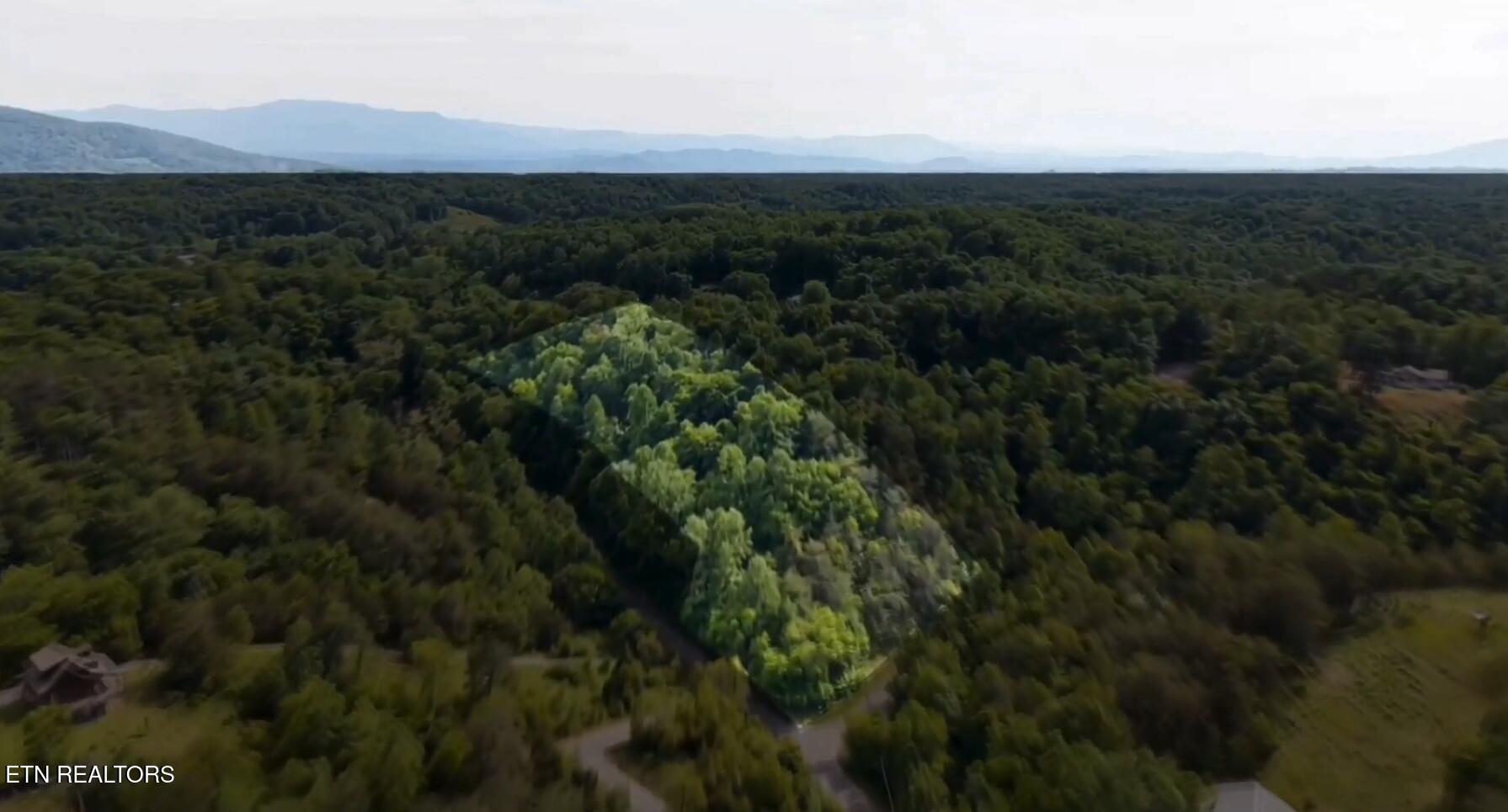 Image 2: Screenshot (612)