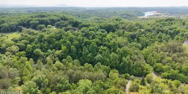 Image 3: Screenshot (613)