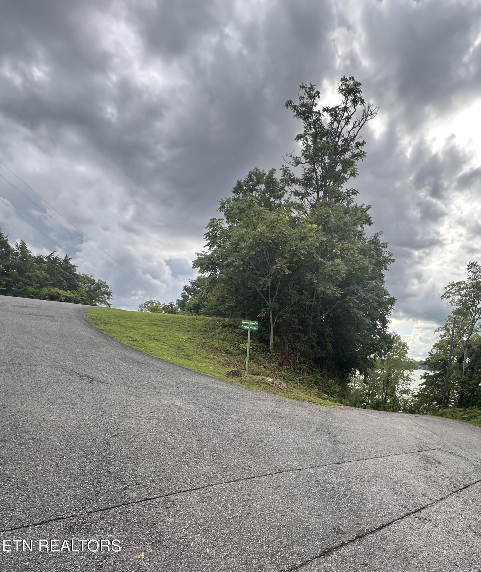 Image 3: IMG_0316