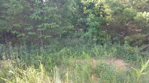 337 Oostagala  (Lot 3) Place 3