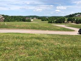 335 Hummingbird Drive 1024