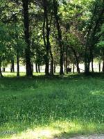 176 Dudi Trail Tr