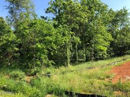 295 Walelu Trail Tr