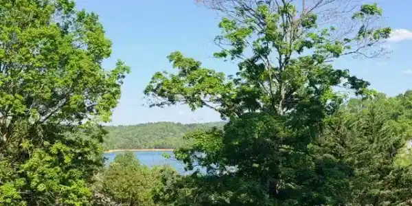 Shanghai Lake Lane