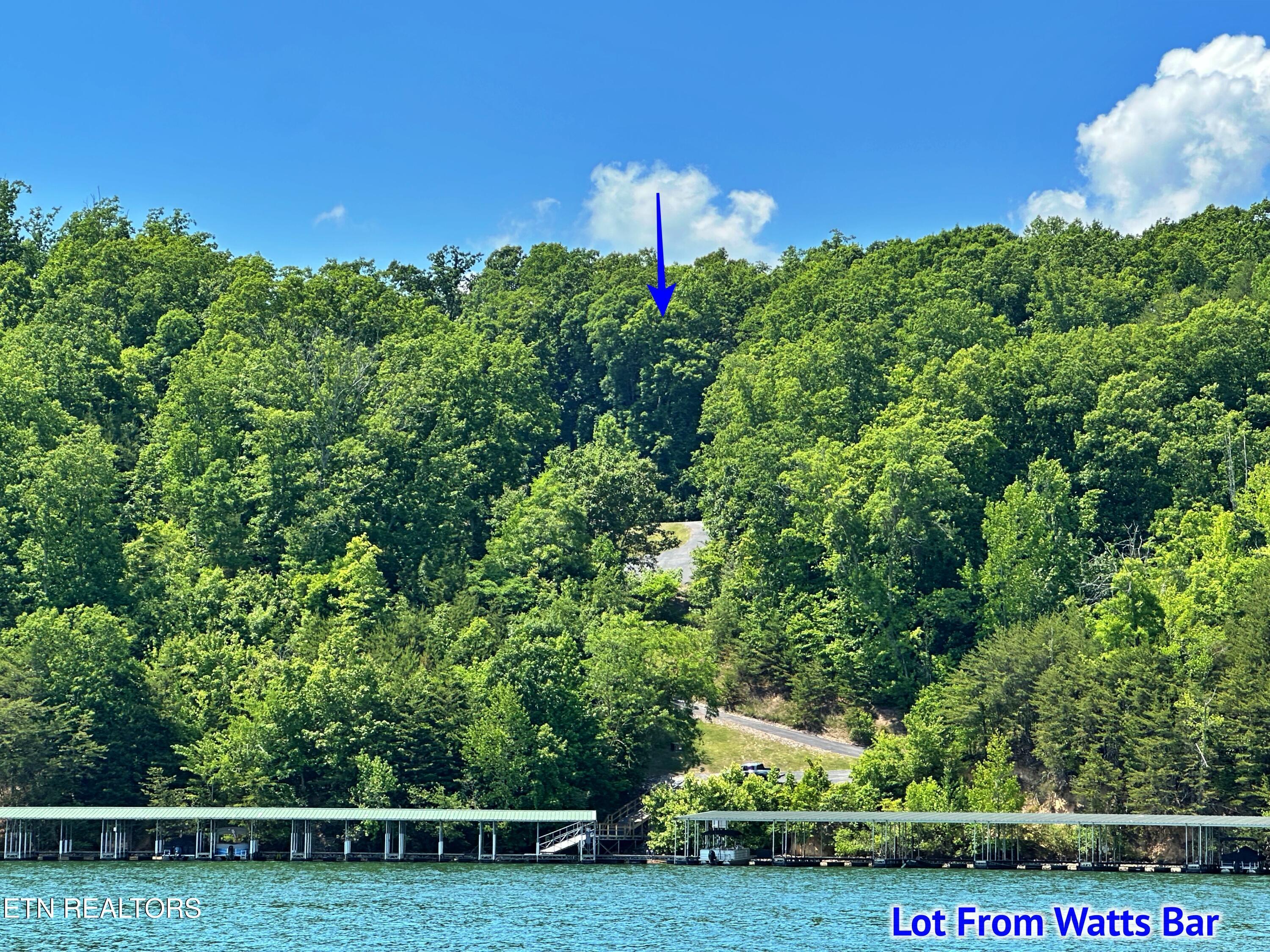 Image 1: view from lake iphone