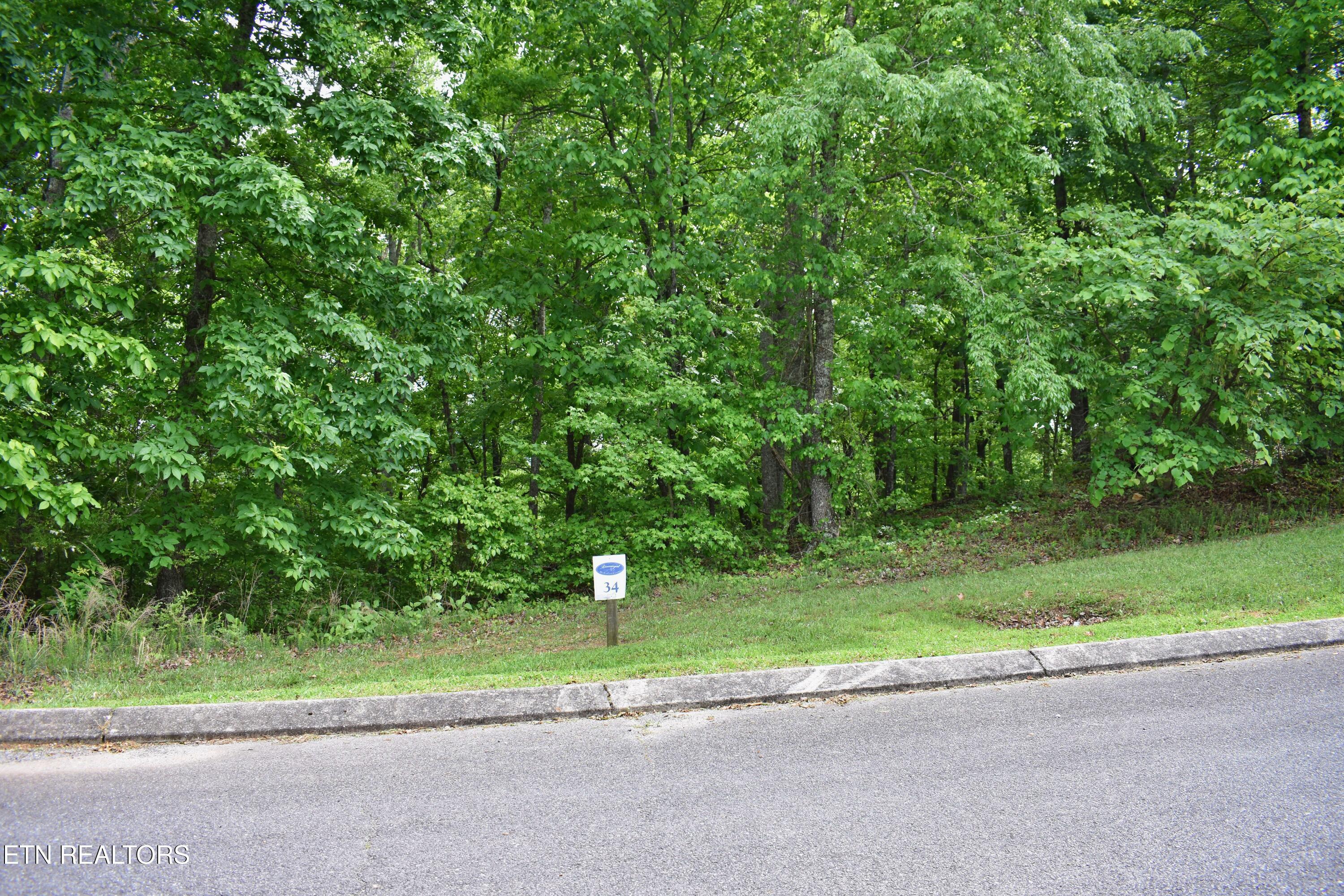 Image 4: DSC_0549