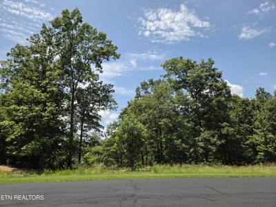 391 Thief Neck View Drive