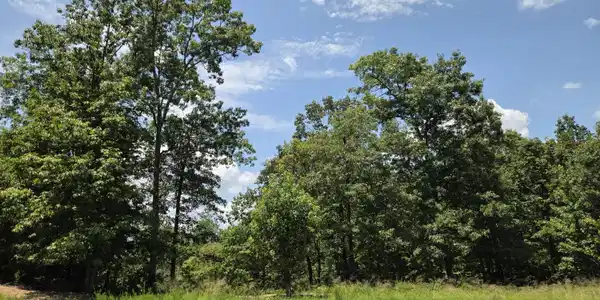 391 Thief Neck View Drive