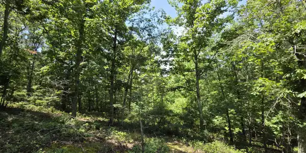 Image 3: 20260629_133224