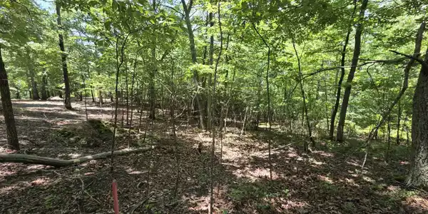 Image 4: 20260629_133411