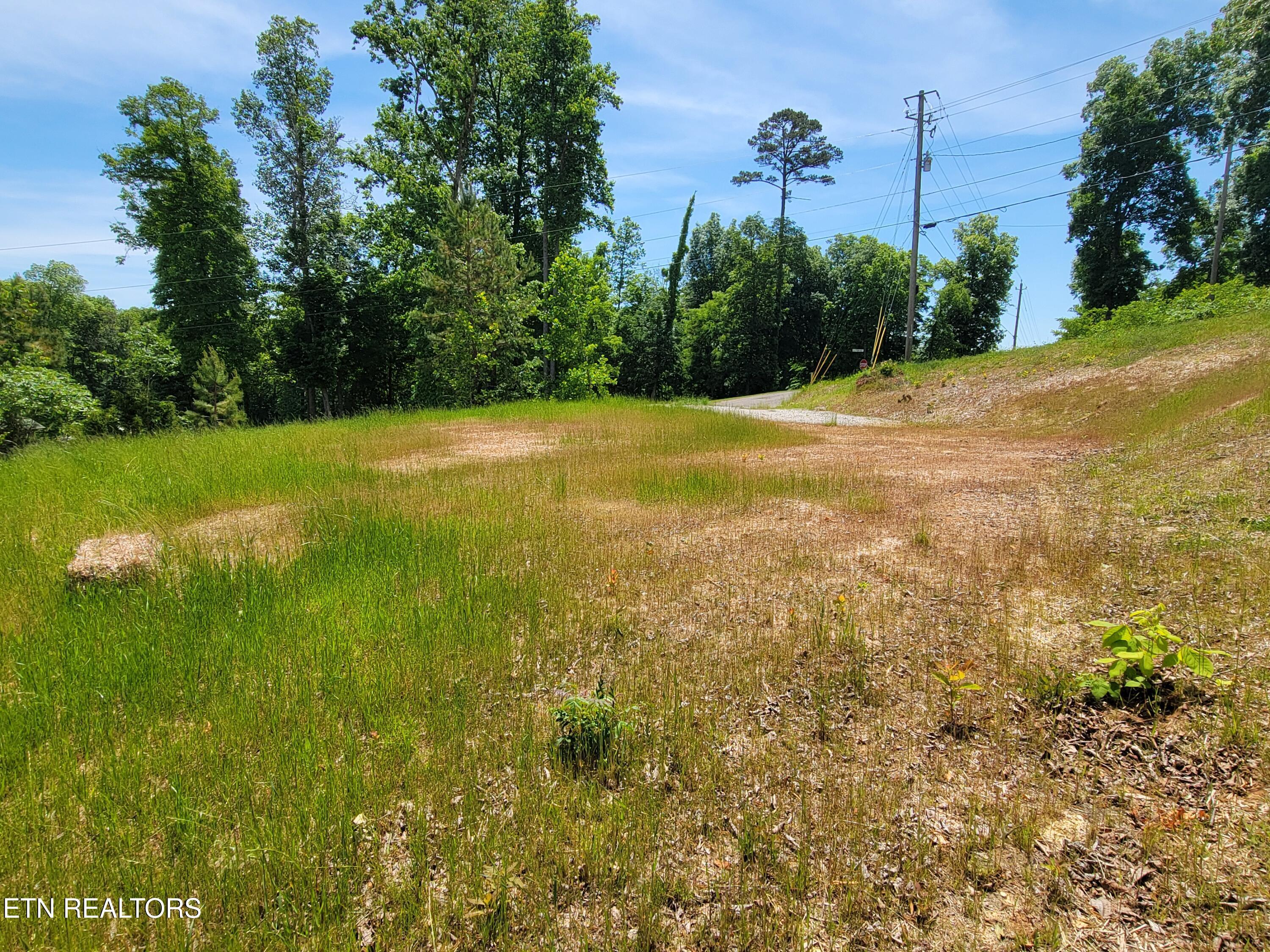 Image 4: 548 Hickory Pointe