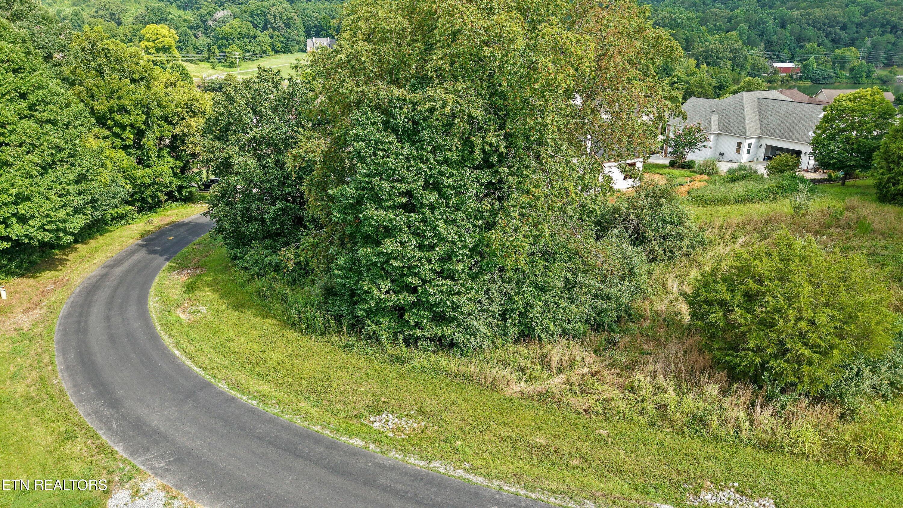 Image 2: Lot 6 Ganega Trail12