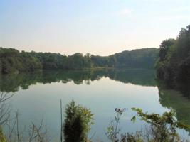 10616 E Coast Tellico Pkwy