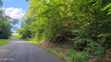 Lakeshore Dr (Lot 36) Way