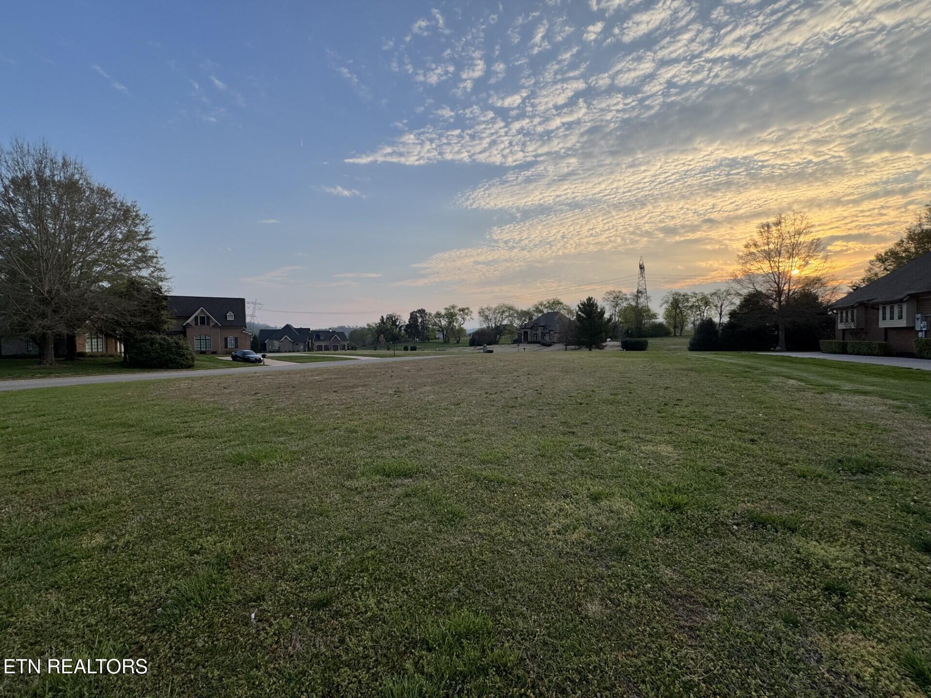 Image 3: Lot 9