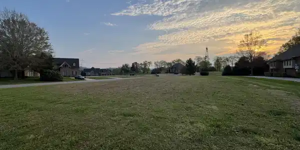 Image 3: Lot 9