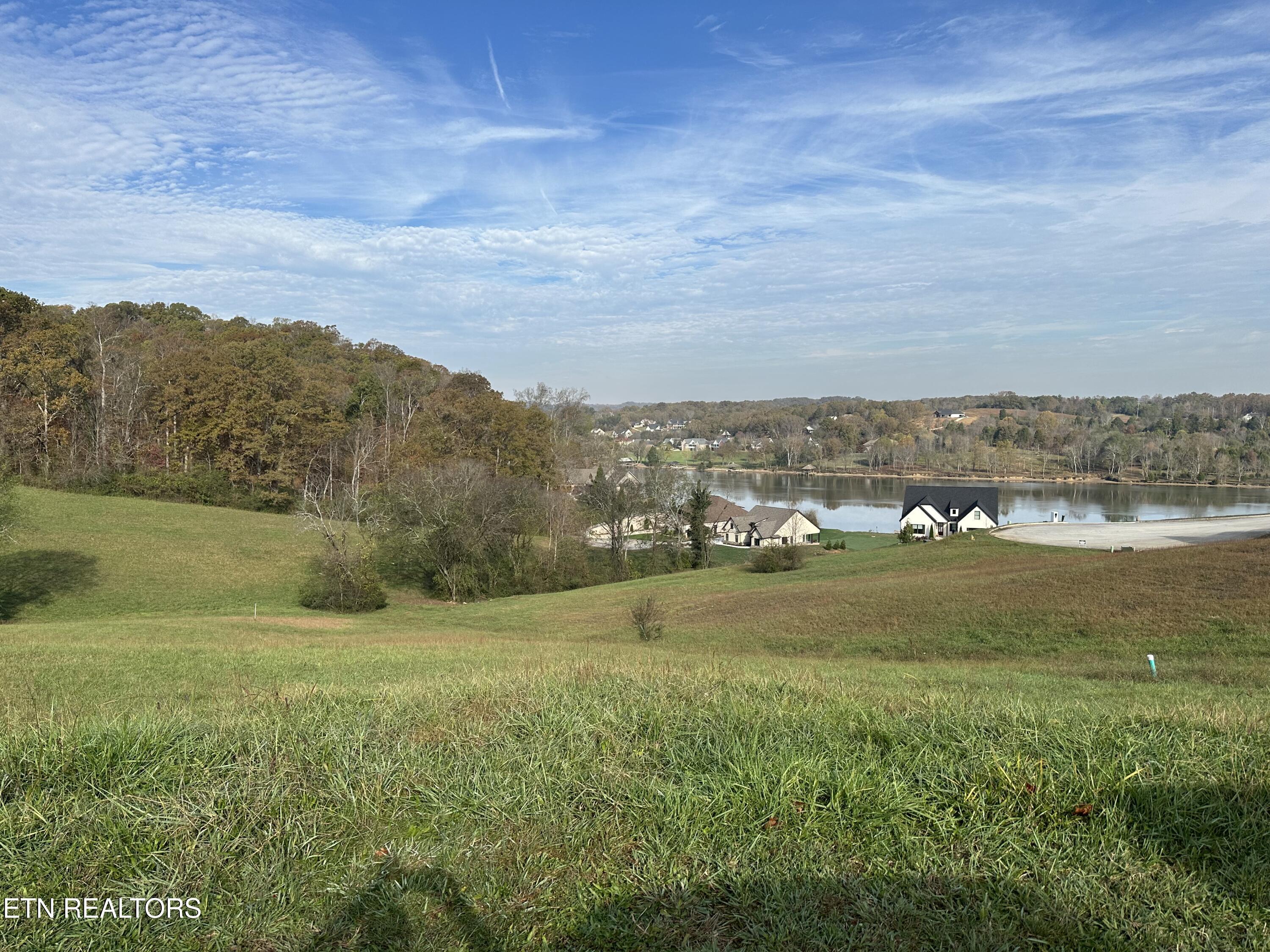 Image 2: IMG_3090
