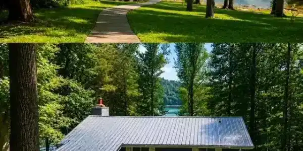 353 Beech Grove Loop