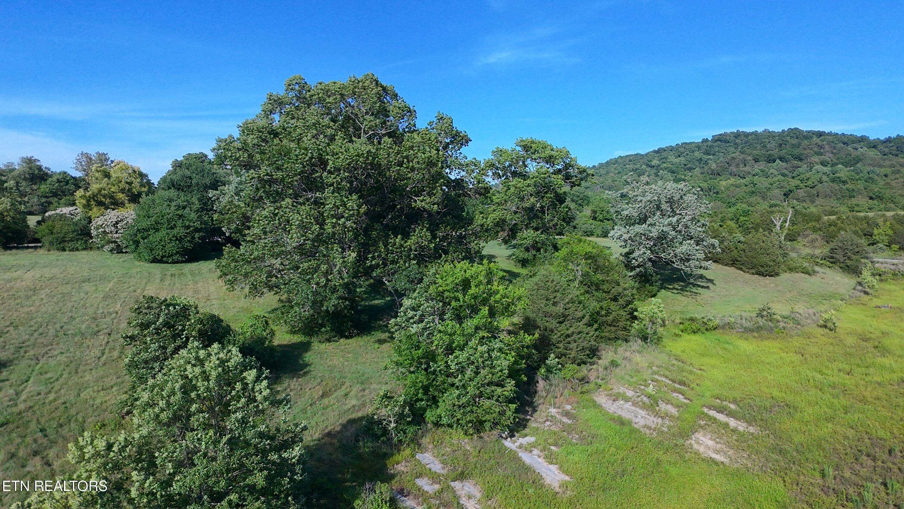 Image 2: dji_fly_20260617_181734_0130_17817353982