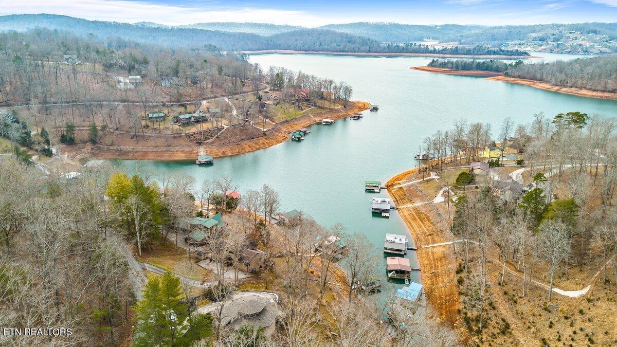 Image 4: Norris Lake