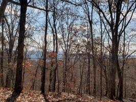 1405 Echota Lane 168