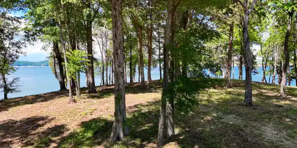 Image 2: dji_fly_20260513_152600_0615_17787030009